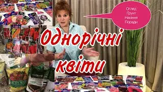 ОДНОРІЧНІ Квіти.Огляд.Як виглядають в нашому садочку.Для ВАЗОНІВ та відкритого грунту.Гарний Грунт