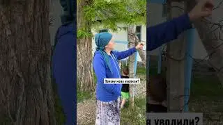 29 апреля 2023 г.