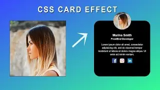 CSS Card Hover Effect | Profile Card Hover Effect Using HTML And CSS