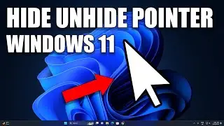 How To Hide or Unhide the Cursor While Typing in Windows 11