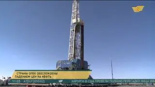 Страны ОПЕК обеспокоены падением цен на нефть