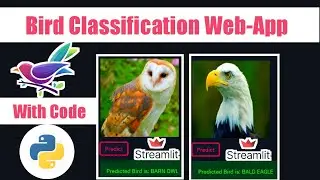 Bird Species Identification using Deep Learning #Streamlit | With #Code | #python #keras