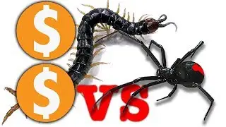 Double $$ Demonetization Not Suitable For Advertisers Machine Learning Madness