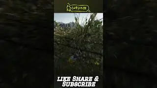 STUNT JUMPS in Grand Theft Auto V! PT.836 