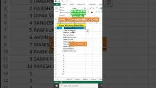 interview question insert Alternate Blank Cells in Excel 