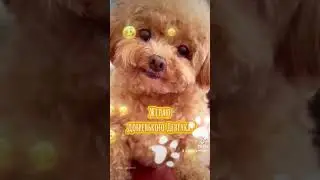Добрый день