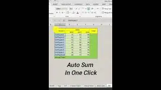 Autosum in One Click | Excel Sum Function |  MultiPle Sum By One Click | Excel TIPs & Tricks