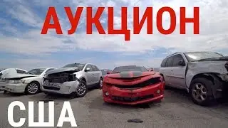 АУКЦИОН БИТЫХ МАШИН! БРОШЕННЫЕ АВТО! ЦЕНЫ ОТ 90$! ЗАВЁЛ ПАНАМЕРУ!!
