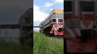 РАЗНОЦВЕТНЫЙ ТЕПЛОВОЗ ТЭМ2У-9199 КРАДЁТСЯ ПО ТРАВЕ