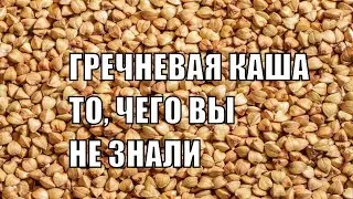 Гречка Польза и противопоказания гречневая крупа Польза гречневой каши