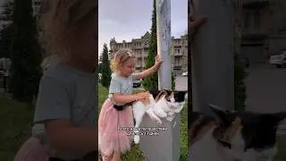 5 человек, 5000 км, 17 суток. Рязань-Волгоград-Элиста-Питигорск-Домбай-Краснодар-Благовещенская…
