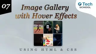 Day 7: Creating an Image Gallery with Hover Effects using HTML & CSS