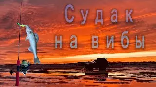 Ловля судака на вибы! Первый опыт. Селетинское водохранилище