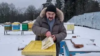 🔴 Как при зимовке пчел на улице их не потерять. Видео по пчеловодству для начинающих 2022 🔴