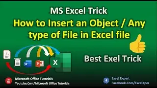 Learn how to Insert different  Objects / any type of file in Excel file