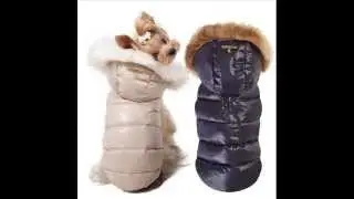 Пуховик для собаки Гусь 239 PA-OW Puppy Angel