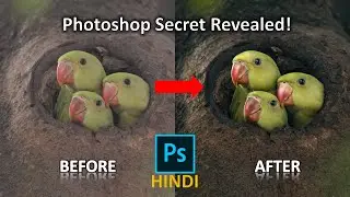 Wildlife Photography Editing in Photoshop | Bird Photography Editing Secret | Dodge and Burn Hindi