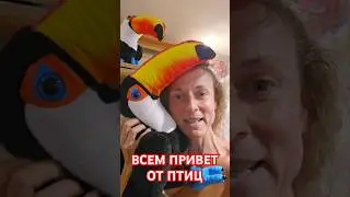 Всем привет от Птиц, птицы в парке птиц вас всех очень любят, смотрите полное видео на моём  канале