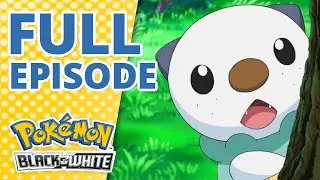 In the Shadow of Zekrom!  [FULL EPISODE] 📺 | Pokémon: Black & White Episode 1