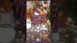 Доброе утро!  2.11.2023г.!#доброеутро #открытки #пожелания #пожеланиедлядрузей #длятебя #цитаты