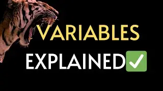 JavaScript Basics: let, var, const Explained | What is a Variable in JS? 