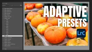 Lightroom Adaptive Presets