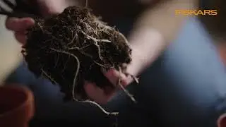 How to: Sauberes Umtopfen mit Fiskars Urban Plant Care