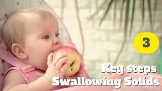 Help with Eating and Swallowing Solids - Why Baby Not Eating Solids