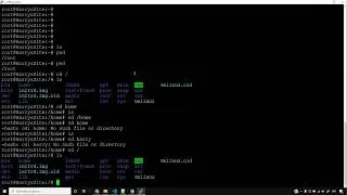 Hosting Tutorial: Installing Putty + Basic Linux Commands | Web Development Tutorials #91