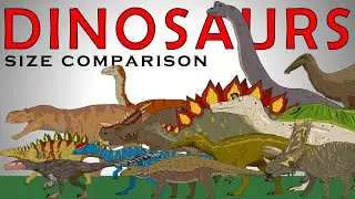 Random Dinosaurs Size Comparison vol.2 (Giganotosaurus, Spinosaurus, Brachiosaurus, Raptors)