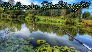 РЫБАЛКА НА ПОПЛАВОК! ОТБОРНАЯ ПЛОТВА, ПОДЛЕЩИК И ДАЖЕ ЯЗЬ ОСЕНЬЮ!
