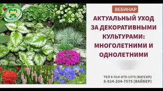 Актуальный уход за декоративными культурами  Фрагмент вебинара. Долгих Анна