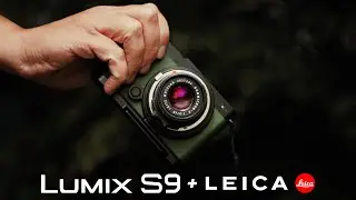 LUMIX S9 + Leica M-Mount Lenses | A Match Made in L-Mount Heaven?