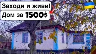 🇺🇦 Заходи и живи! Дом в селе за 1500$ Продажа недвижимости за копейки! Всё есть Уютное тихое село!