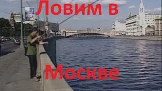 Диалоги о рыбалке -136- Городская рыбалка в Москве-реке