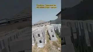 19 августа 2024 г.