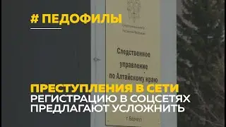 Правоохранители предложили способ борьбы с педофилами в сети