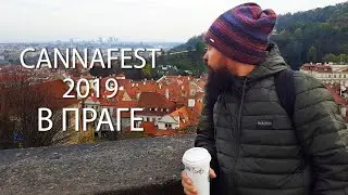 Cannafest 2019 в Праге / Советы от Doctor's Choice / Лампа Zeus от Lumatek / Mr.GrowChannel