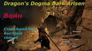 Dragons Dogma Dark Arisen.Старейший Огр быстро и безопасно.