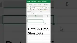 Excel Date and Time Shortcut