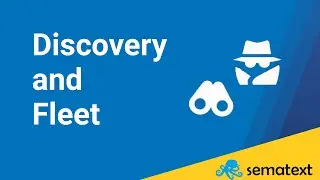 Fleet & Discovery | Sematext