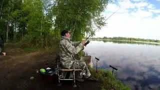 Вторая попытка ловли карася в Губино. Рыбалки 