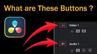 Button Explanation in DaVinci Resolve Timeline