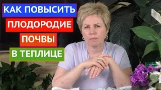 ПОВЫШАЕМ ПЛОДОРОДИЕ В ТЕПЛИЦЕ! ПРОСТЫЕ И ЭФФЕКТИВНЫЕ МЕТОДЫ!