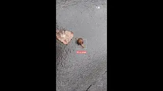 At a snail's pace | А улитка быстрее и не умеет