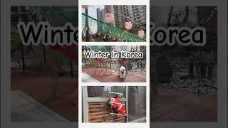 Winter In Korea 🇰🇷🎄 