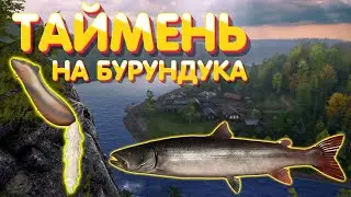 Таймень + ТРОФ Голец на бурундука | р. Нижняя Тунгуска | Русская Рыбалка 4