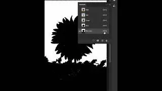 Fast Way to Remove Background in Photoshop 