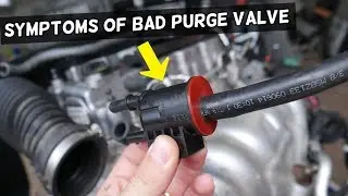 SYMPTOMS OF BAD PURGE VALVE. HOW TO KNOW PURGE VALVE IS BAD