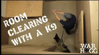 Room Clearing with a Special Operation Forces (SOF) K9
